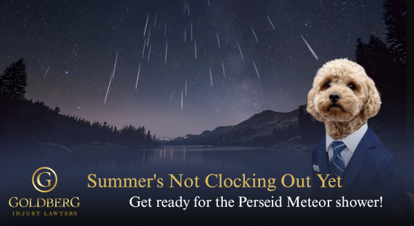  August 2026 - Newsletter