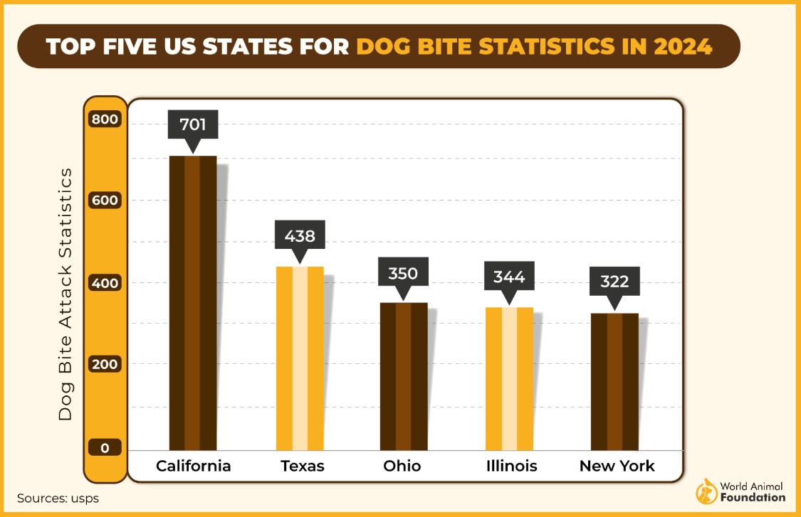 Help! A dog bit me! What should I do? - Goldberg Injury Lawyers