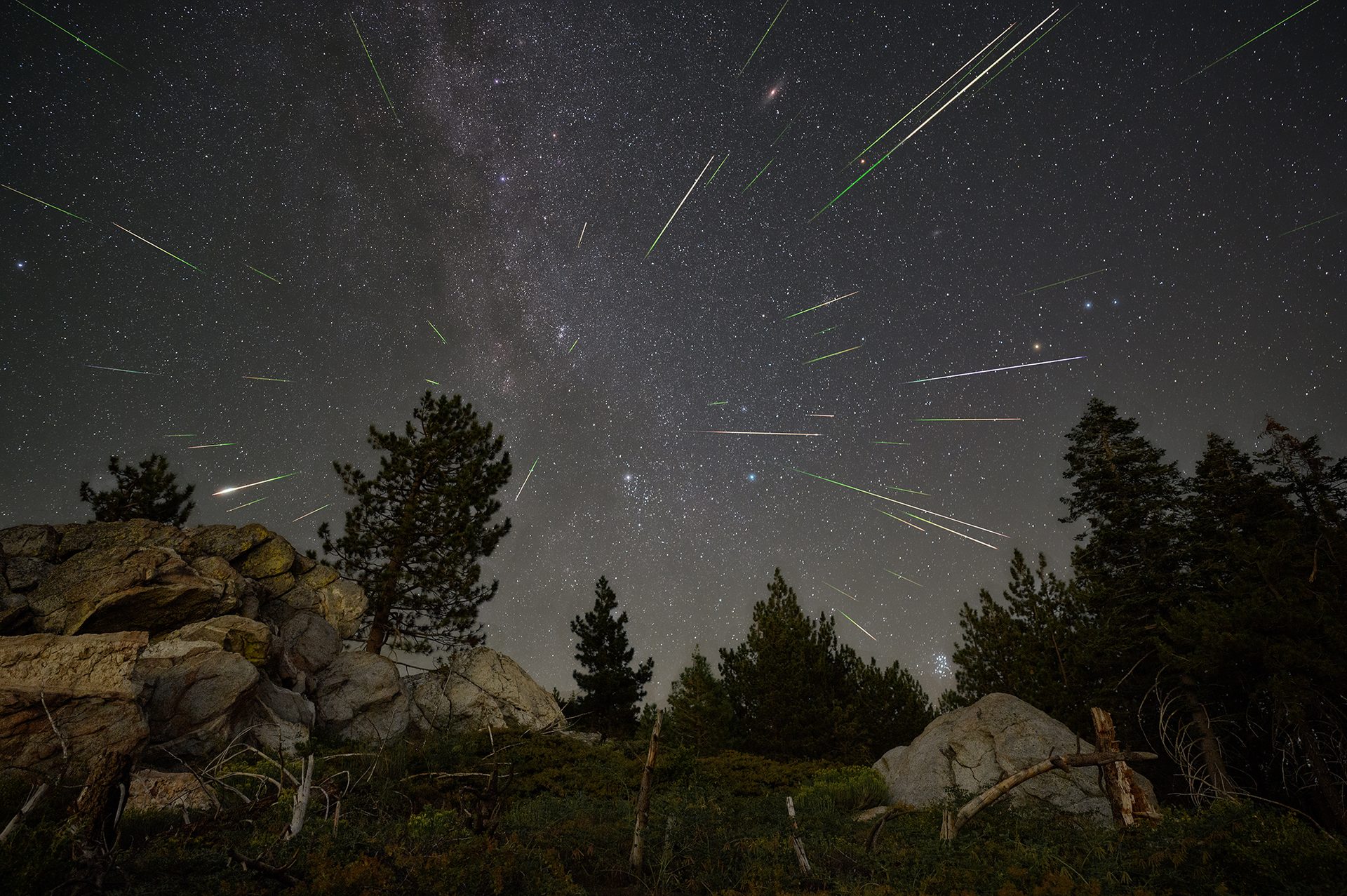 Don't Miss Summer's Best Sky Show