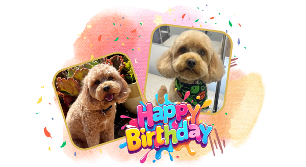 Happy Birthday!